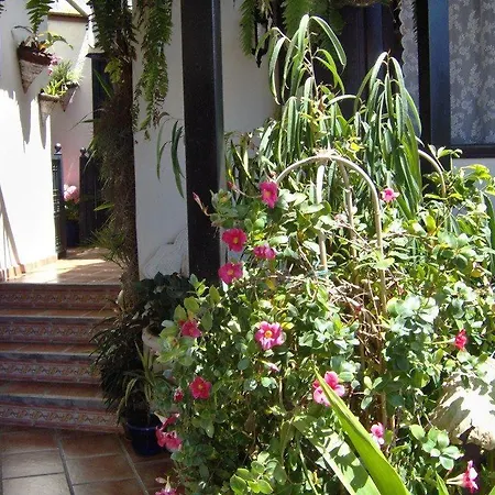 Apartamentos-monasterio-de-san-antonio-kleines-studio-15qm-fuer-junge-leute Διαμέρισμα *